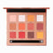 Burning® Eyeshadow Palette - Focallure™ Arabia